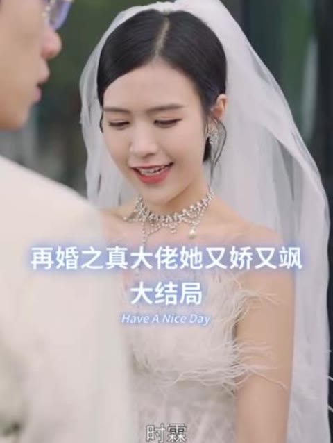 再婚之真大佬她又娇又飒 1-20集