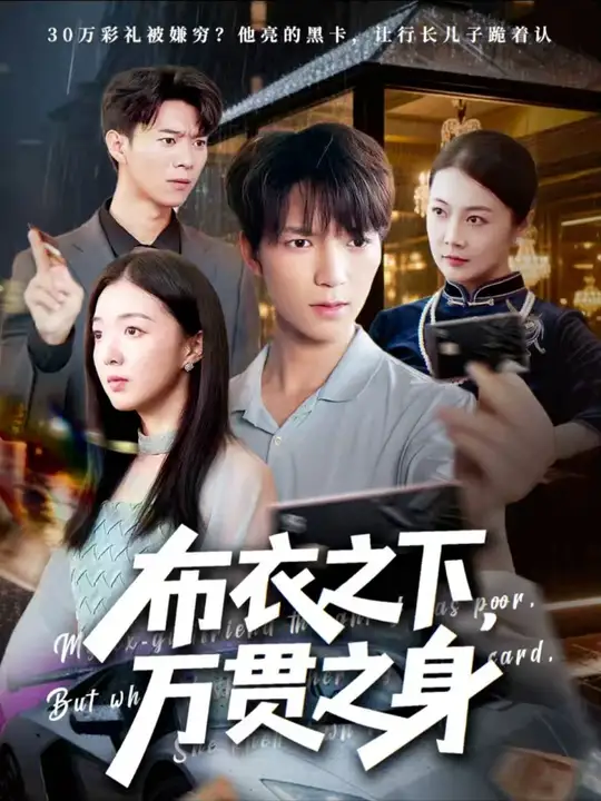 布衣之下万贯之身(全集)